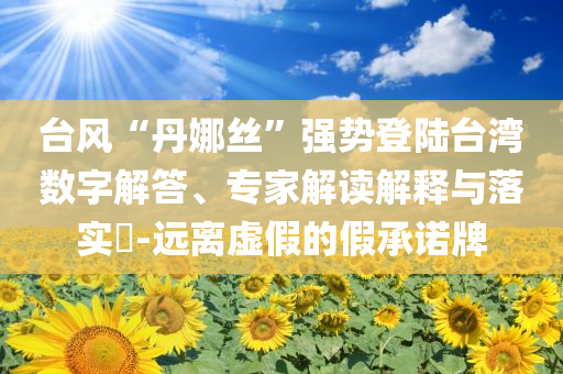 臺風“丹娜絲”強勢登陸臺灣數(shù)字解答、專家解讀解釋與落實?-遠離虛假的假承諾牌