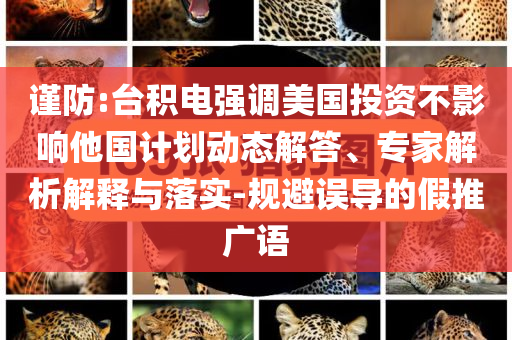 謹防:臺積電強調美國投資不影響他國計劃動態解答、專家解析解釋與落實-規避誤導的假推廣語