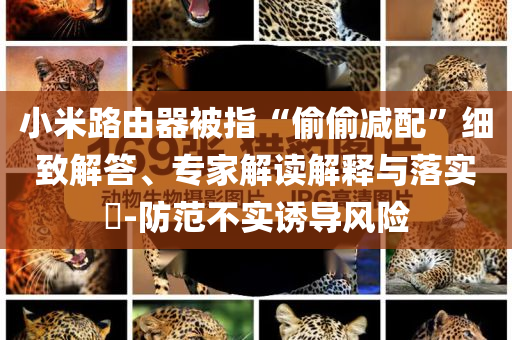 小米路由器被指“偷偷減配”細(xì)致解答、專家解讀解釋與落實(shí)?-防范不實(shí)誘導(dǎo)風(fēng)險(xiǎn)