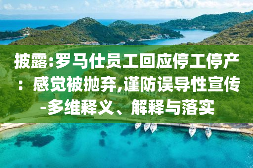 披露:羅馬仕員工回應停工停產：感覺被拋棄,謹防誤導性宣傳-多維釋義、解釋與落實