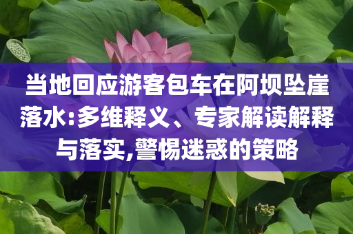 當地回應游客包車在阿壩墜崖落水:多維釋義、專家解讀解釋與落實,警惕迷惑的策略
