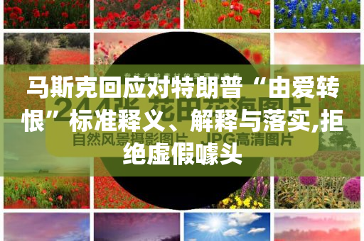 馬斯克回應對特朗普“由愛轉恨”標準釋義、解釋與落實,拒絕虛假噱頭
