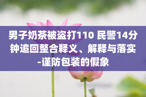 男子奶茶被盜打110 民警14分鐘追回整合釋義、解釋與落實-謹防包裝的假象