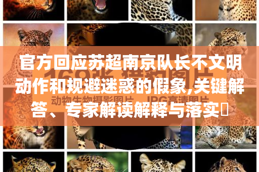 官方回應蘇超南京隊長不文明動作和規避迷惑的假象,關鍵解答、專家解讀解釋與落實?