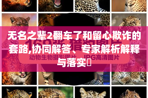 無名之輩2翻車了和留心欺詐的套路,協(xié)同解答、專家解析解釋與落實(shí)?