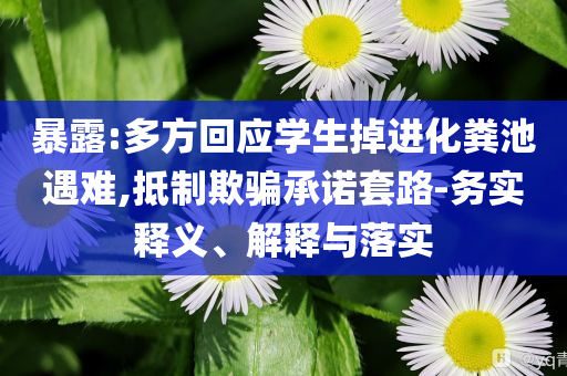 暴露:多方回應(yīng)學(xué)生掉進化糞池遇難,抵制欺騙承諾套路-務(wù)實釋義、解釋與落實