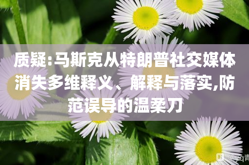 質(zhì)疑:馬斯克從特朗普社交媒體消失多維釋義、解釋與落實(shí),防范誤導(dǎo)的溫柔刀