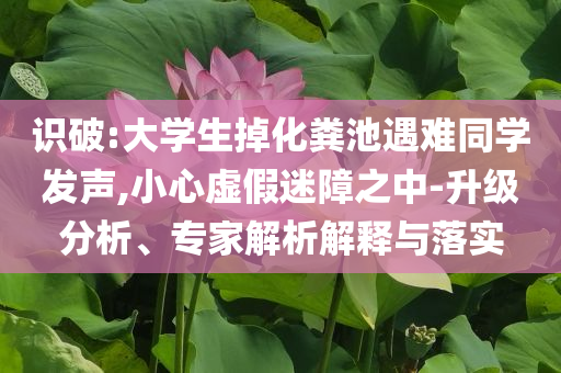 識破:大學生掉化糞池遇難同學發聲,小心虛假迷障之中-升級分析、專家解析解釋與落實