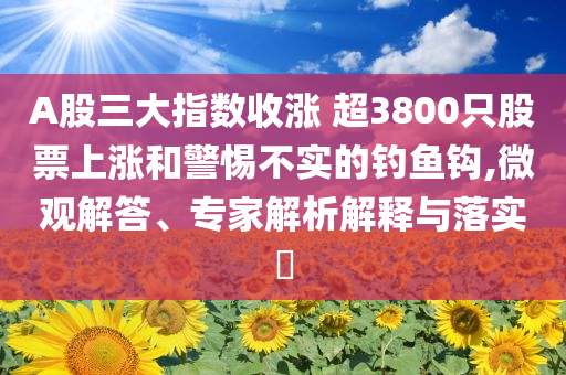 A股三大指數收漲 超3800只股票上漲和警惕不實的釣魚鉤,微觀解答、專家解析解釋與落實?