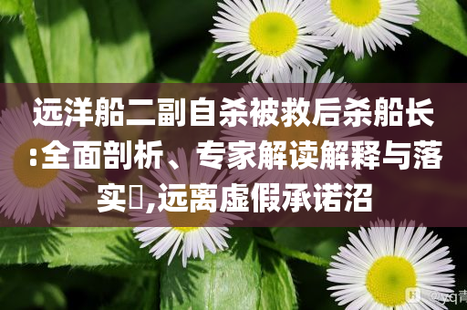 遠洋船二副自殺被救后殺船長:全面剖析、專家解讀解釋與落實?,遠離虛假承諾沼