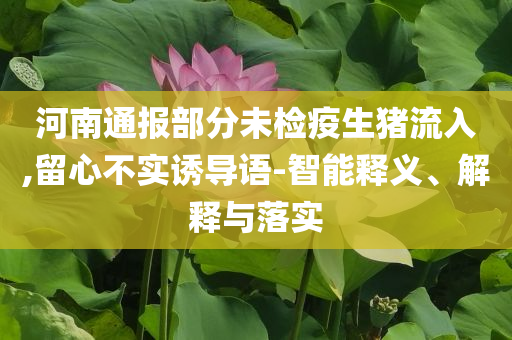 河南通報(bào)部分未檢疫生豬流入,留心不實(shí)誘導(dǎo)語(yǔ)-智能釋義、解釋與落實(shí)