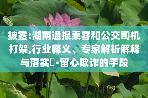 披露:湖南通報乘客和公交司機打架,行業釋義、專家解析解釋與落實?-留心欺詐的手段