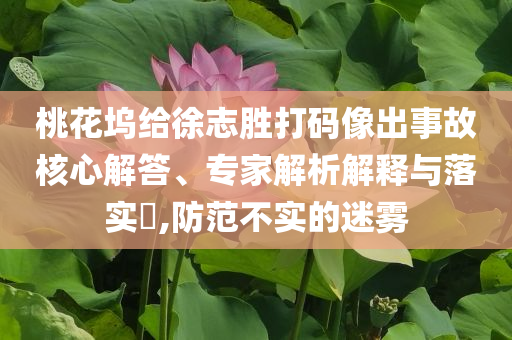 桃花塢給徐志勝打碼像出事故核心解答、專家解析解釋與落實?,防范不實的迷霧