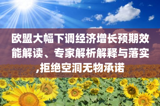 歐盟大幅下調(diào)經(jīng)濟增長預期效能解讀、專家解析解釋與落實,拒絕空洞無物承諾