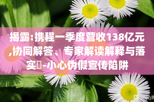 揭露:攜程一季度營收138億元,協同解答、專家解讀解釋與落實?-小心偽假宣傳陷阱