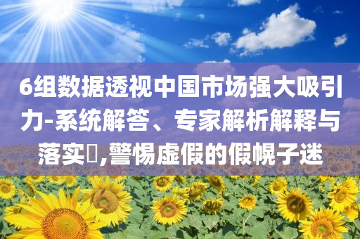 6組數據透視中國市場強大吸引力-系統解答、專家解析解釋與落實?,警惕虛假的假幌子迷