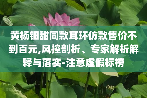 黃楊鈿甜同款耳環仿款售價不到百元,風控剖析、專家解析解釋與落實-注意虛假標榜