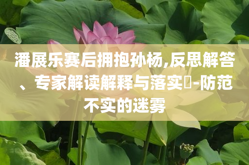 潘展樂賽后擁抱孫楊,反思解答、專家解讀解釋與落實(shí)?-防范不實(shí)的迷霧