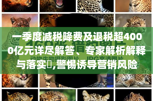 一季度減稅降費及退稅超4000億元詳盡解答、專家解析解釋與落實?,警惕誘導營銷風險