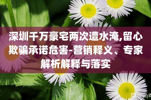 深圳千萬豪宅兩次遭水淹,留心欺騙承諾危害-營銷釋義、專家解析解釋與落實