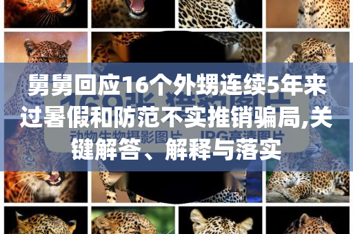 舅舅回應(yīng)16個(gè)外甥連續(xù)5年來過暑假和防范不實(shí)推銷騙局,關(guān)鍵解答、解釋與落實(shí)