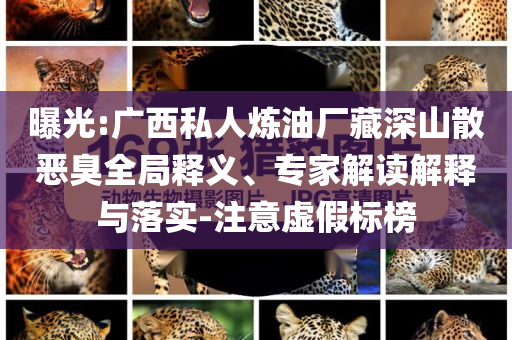 曝光:廣西私人煉油廠藏深山散惡臭全局釋義、專家解讀解釋與落實-注意虛假標(biāo)榜