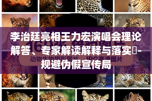 李治廷亮相王力宏演唱會理論解答、專家解讀解釋與落實?-規避偽假宣傳局