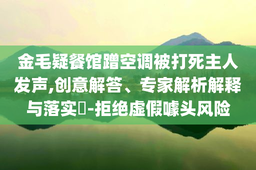 金毛疑餐館蹭空調(diào)被打死主人發(fā)聲,創(chuàng)意解答、專家解析解釋與落實?-拒絕虛假噱頭風險