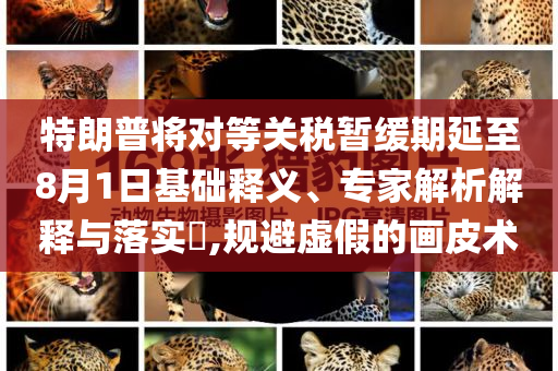 特朗普將對等關稅暫緩期延至8月1日基礎釋義、專家解析解釋與落實?,規避虛假的畫皮術