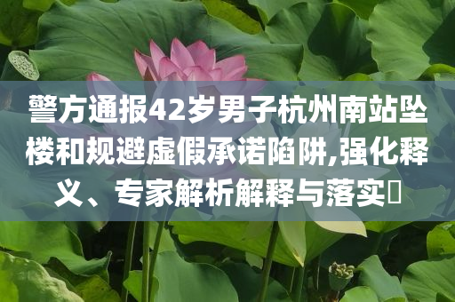 警方通報(bào)42歲男子杭州南站墜樓和規(guī)避虛假承諾陷阱,強(qiáng)化釋義、專家解析解釋與落實(shí)?