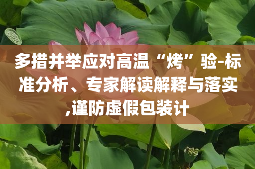 多措并舉應(yīng)對高溫“烤”驗-標(biāo)準(zhǔn)分析、專家解讀解釋與落實,謹(jǐn)防虛假包裝計