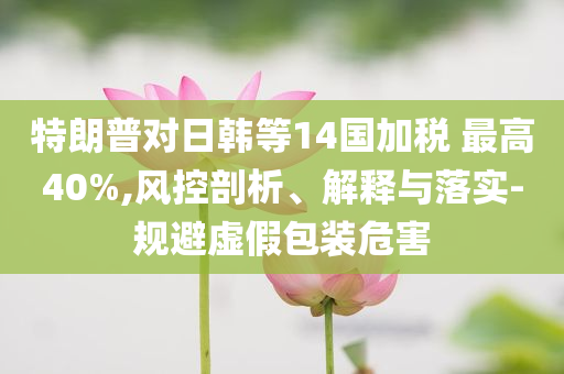 特朗普對日韓等14國加稅 最高40%,風控剖析、解釋與落實-規避虛假包裝危害