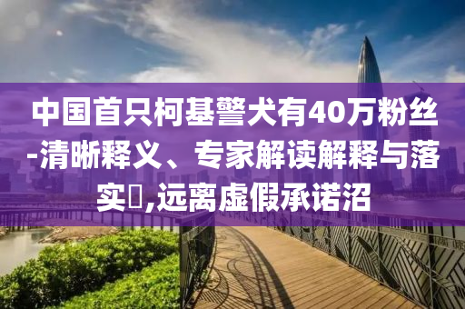 中國首只柯基警犬有40萬粉絲-清晰釋義、專家解讀解釋與落實?,遠離虛假承諾沼