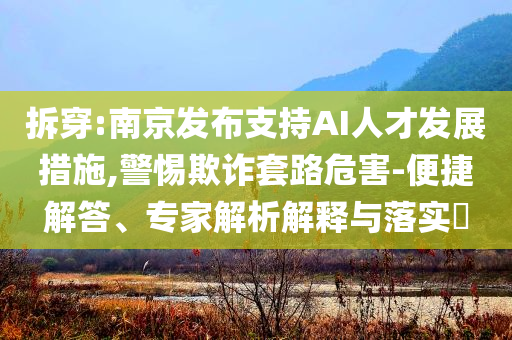 拆穿:南京發(fā)布支持AI人才發(fā)展措施,警惕欺詐套路危害-便捷解答、專家解析解釋與落實?