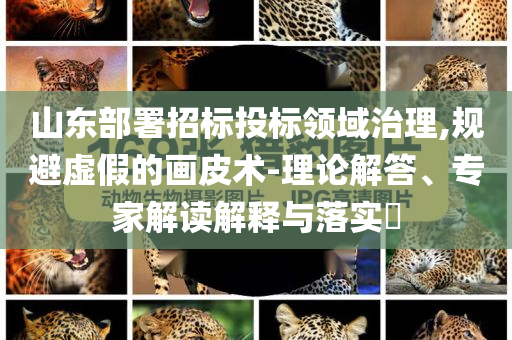 山東部署招標(biāo)投標(biāo)領(lǐng)域治理,規(guī)避虛假的畫皮術(shù)-理論解答、專家解讀解釋與落實?