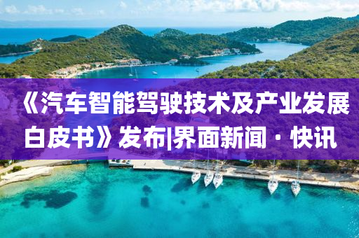 《汽車智能駕駛技術及產業發展白皮書》發布|界面新聞 · 快訊