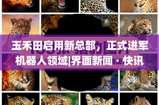 玉禾田啟用新總部，正式進軍機器人領(lǐng)域|界面新聞 · 快訊