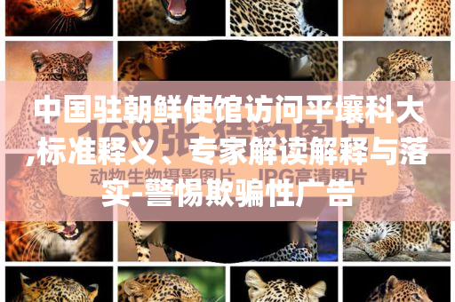 中國(guó)駐朝鮮使館訪問(wèn)平壤科大,標(biāo)準(zhǔn)釋義、專家解讀解釋與落實(shí)-警惕欺騙性廣告