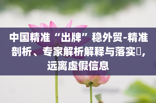 中國精準(zhǔn)“出牌”穩(wěn)外貿(mào)-精準(zhǔn)剖析、專家解析解釋與落實?,遠(yuǎn)離虛假信息