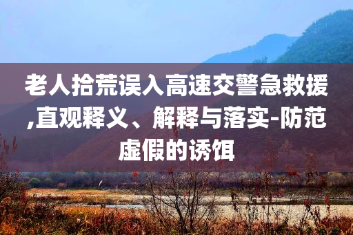 老人拾荒誤入高速交警急救援,直觀釋義、解釋與落實-防范虛假的誘餌