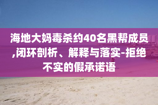 海地大媽毒殺約40名黑幫成員,閉環剖析、解釋與落實-拒絕不實的假承諾語