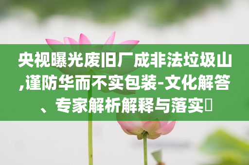 央視曝光廢舊廠成非法垃圾山,謹防華而不實包裝-文化解答、專家解析解釋與落實?