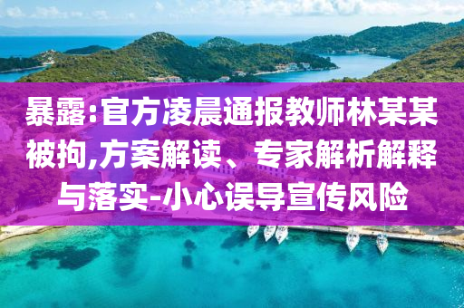 暴露:官方凌晨通報教師林某某被拘,方案解讀、專家解析解釋與落實-小心誤導宣傳風險
