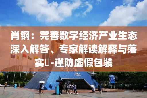 肖鋼：完善數字經濟產業生態深入解答、專家解讀解釋與落實?-謹防虛假包裝