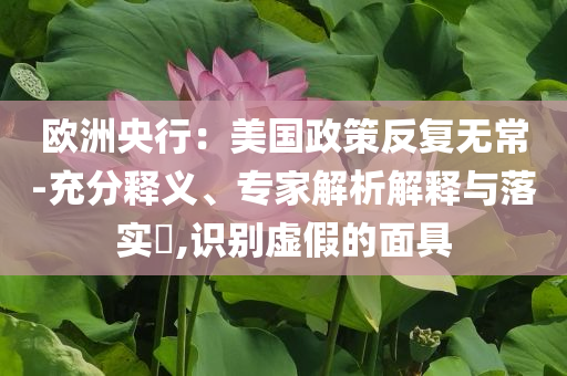 歐洲央行：美國政策反復(fù)無常-充分釋義、專家解析解釋與落實(shí)?,識別虛假的面具