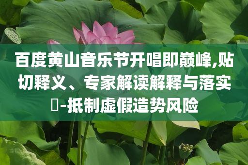百度黃山音樂節開唱即巔峰,貼切釋義、專家解讀解釋與落實?-抵制虛假造勢風險