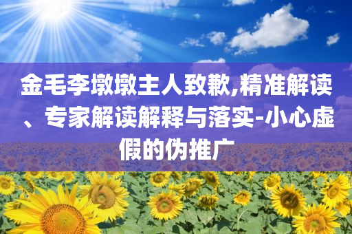金毛李墩墩主人致歉,精準(zhǔn)解讀、專家解讀解釋與落實(shí)-小心虛假的偽推廣