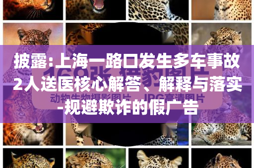披露:上海一路口發(fā)生多車事故2人送醫(yī)核心解答、解釋與落實-規(guī)避欺詐的假廣告