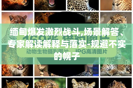 緬甸爆發激烈戰斗,場景解答、專家解讀解釋與落實-規避不實的幌子