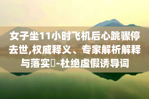 女子坐11小時(shí)飛機(jī)后心跳驟停去世,權(quán)威釋義、專(zhuān)家解析解釋與落實(shí)?-杜絕虛假誘導(dǎo)詞